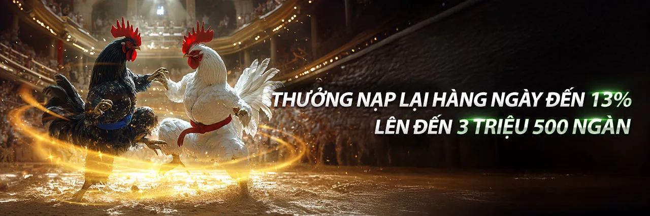 An toàn và trách nhiệm khi chơi cá cược