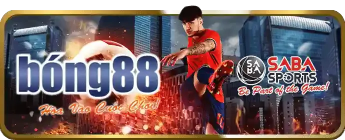 Nâng cấp hệ thống và công nghệ Benvip