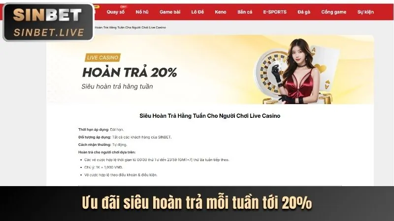 Các loại Cookie khác nhau được Benvip sử dụng để tối ưu hóa trải nghiệm